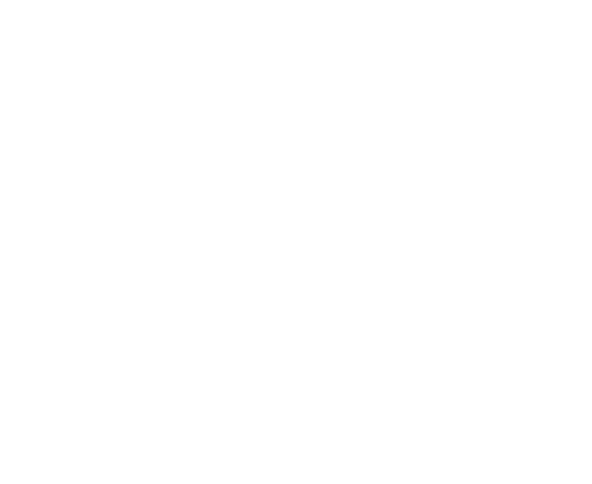 Logo ZH, Zoltán Hebők